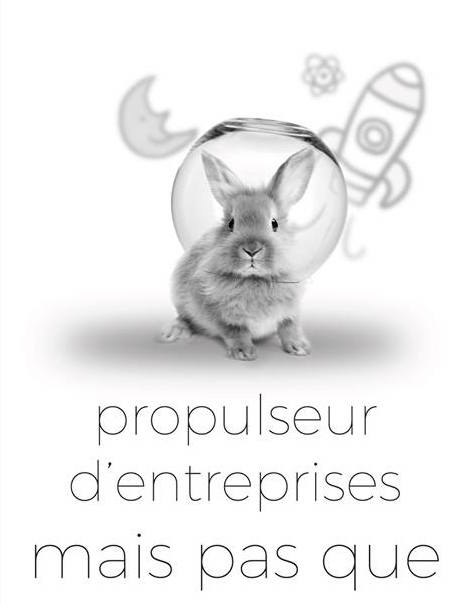 propulseur_d_entreprises