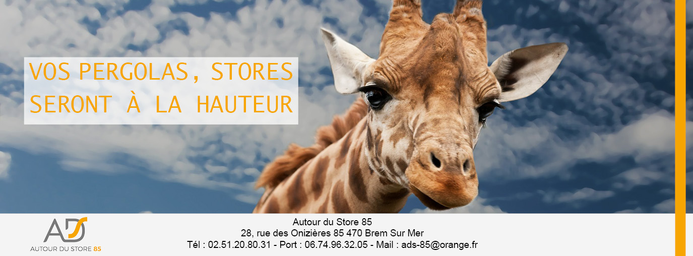 AUTOUR DU STORE 85
